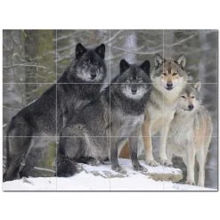 Wolf Wolves Ceramic Tile Mural Kitchen Backsplash Bathroom Shower 403125-S43