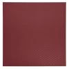 Flexco Rubber Tile Berry 24-in X 24-in Vinyl Tile Flooring (5.06-sq Ft)
