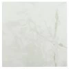 Achim Sterling Classic White With Grey Veins 12-in X 12-in Water Resistant Peel And Stick Vinyl Tile Flooring (20-sq Ft)