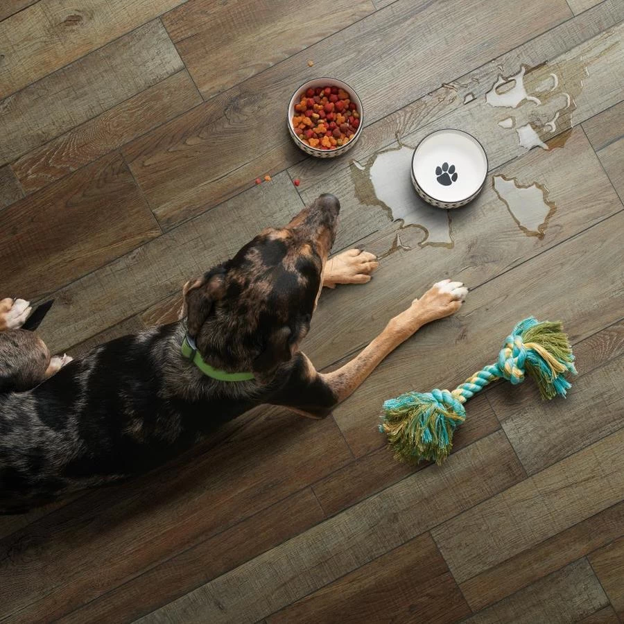 SMARTCORE Pro 7-Piece 7.08-in X 48.03-in Claremount Oak Luxury Vinyl Plank Flooring - Image 5