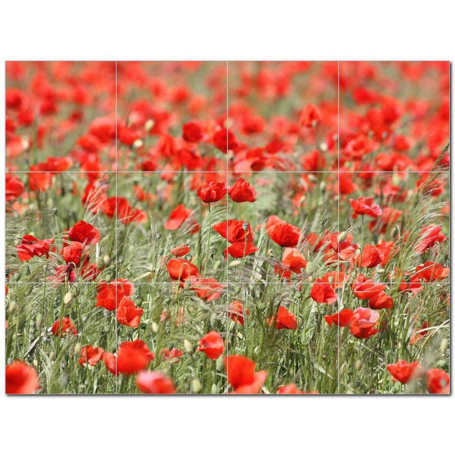 Flowers Ceramic Tile Mural Kitchen Backsplash Bathroom Shower 402538-S43